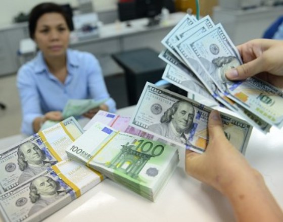 Vietnam sees evidence of 'dollar hoarding' amid FED rate increase speculation