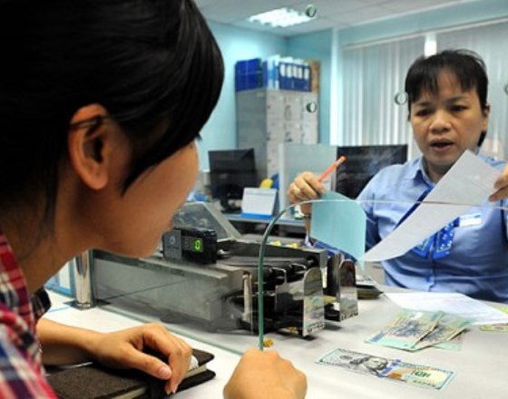 Vietnam cbank tightens foreign currency trading rules to curb dollarization